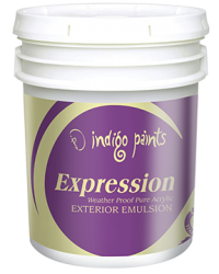 Expression 100% Acyl. Ext. Paint